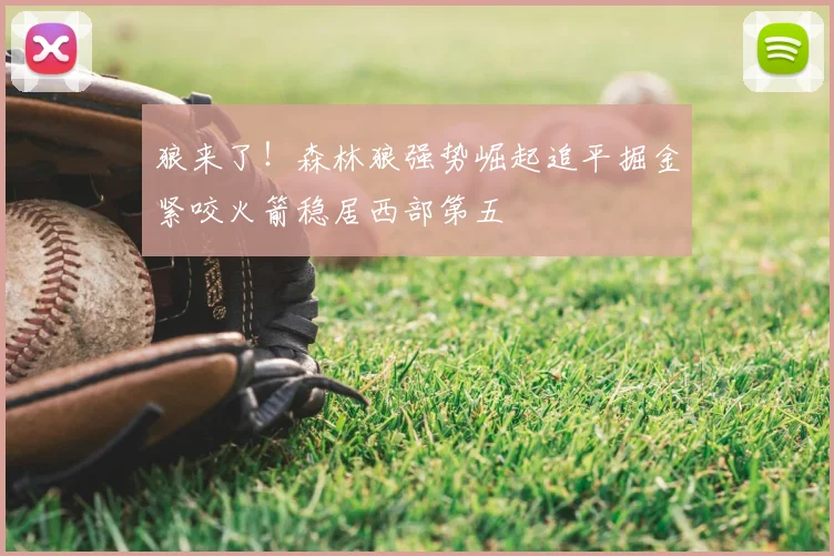 狼来了！森林狼强势崛起追平掘金紧咬火箭稳居西部第五