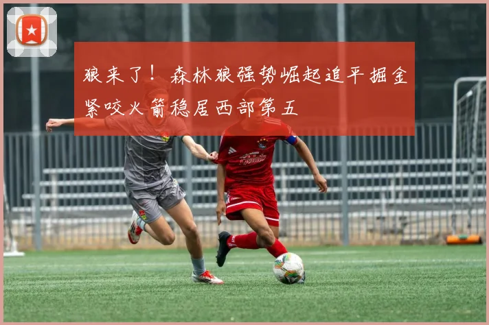 狼来了！森林狼强势崛起追平掘金紧咬火箭稳居西部第五