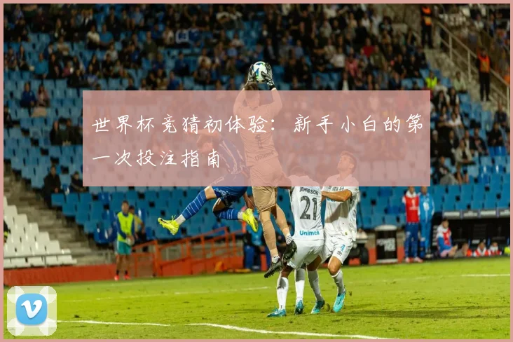 世界杯竞猜初体验：新手小白的第一次投注指南