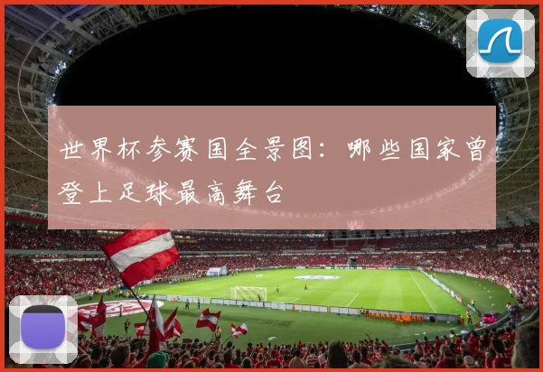 世界杯参赛国全景图：哪些国家曾登上足球最高舞台