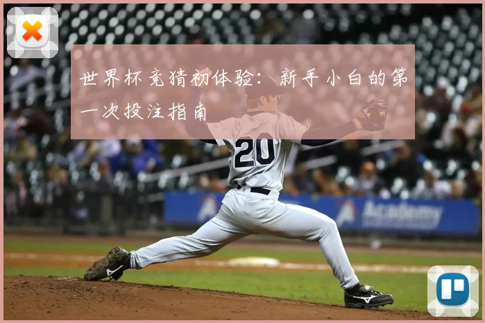 世界杯竞猜初体验：新手小白的第一次投注指南