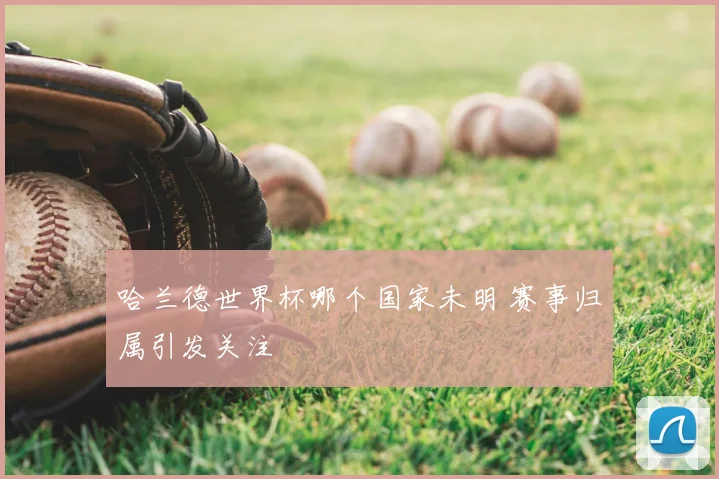 哈兰德世界杯哪个国家未明 赛事归属引发关注