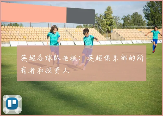 英超各球队老板：英超俱乐部的所有者和投资人