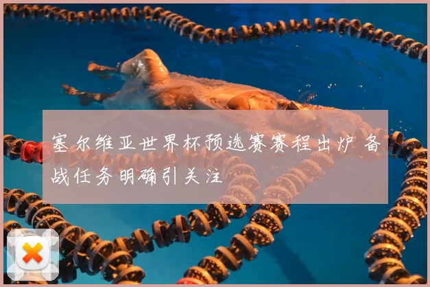 塞尔维亚世界杯预选赛赛程出炉 备战任务明确引关注