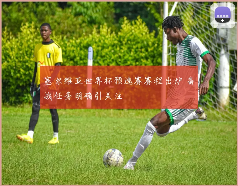 塞尔维亚世界杯预选赛赛程出炉 备战任务明确引关注
