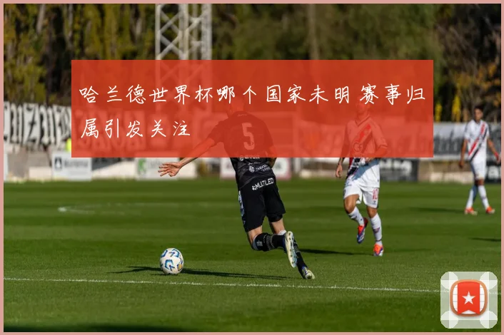 哈兰德世界杯哪个国家未明 赛事归属引发关注